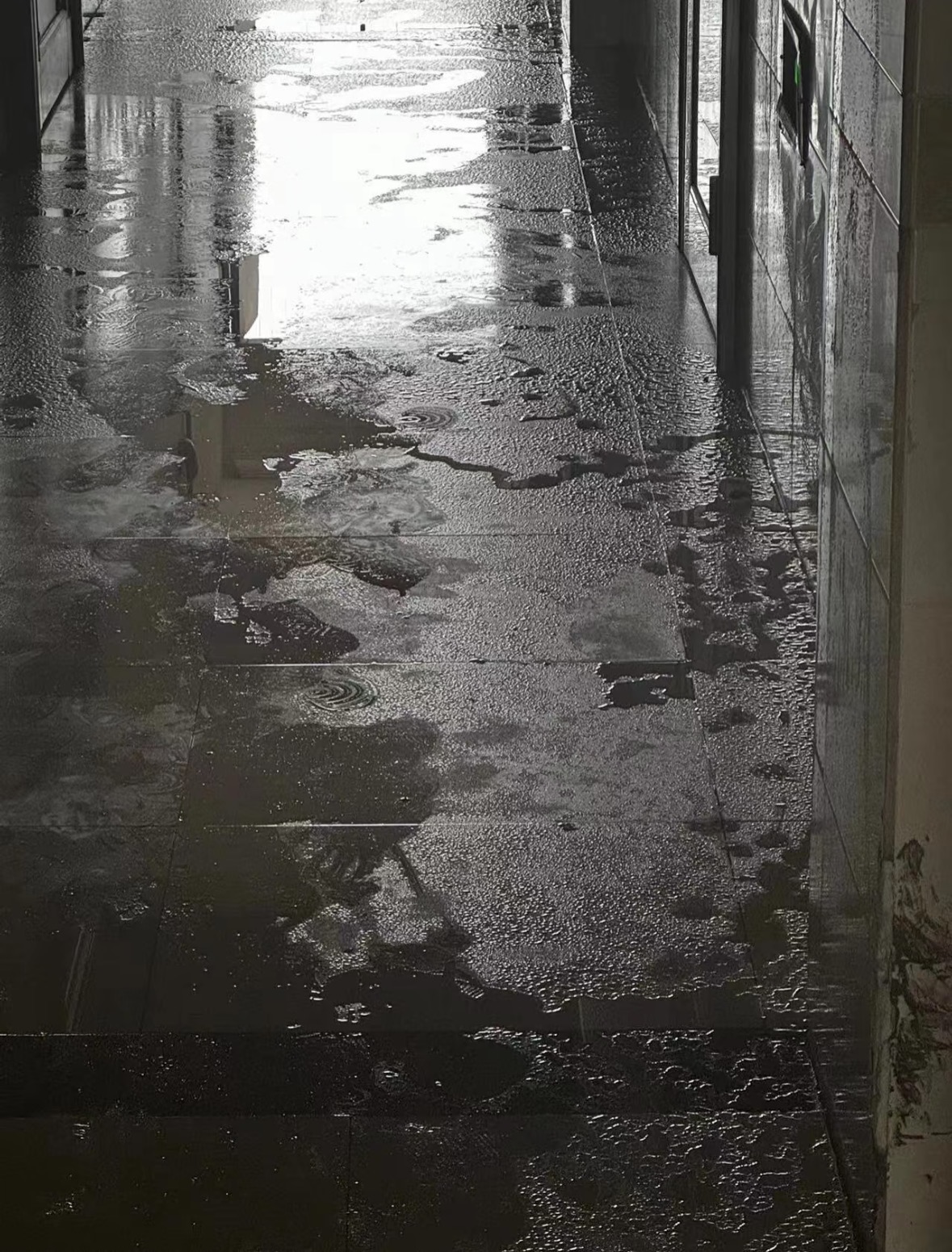 202503281408510814.Jpeg